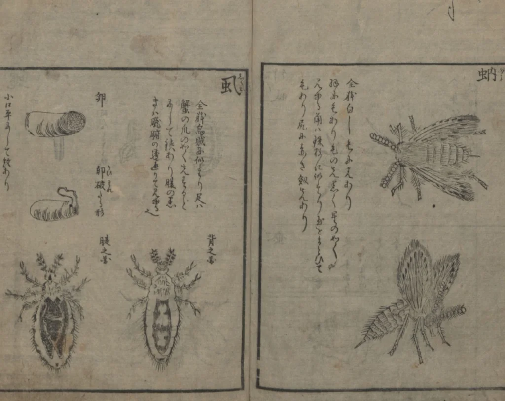 An illustration from Chats on Novelties of Foreign Lands (Kōmōzatsuwa 紅毛雑話), 1796, leaf 64