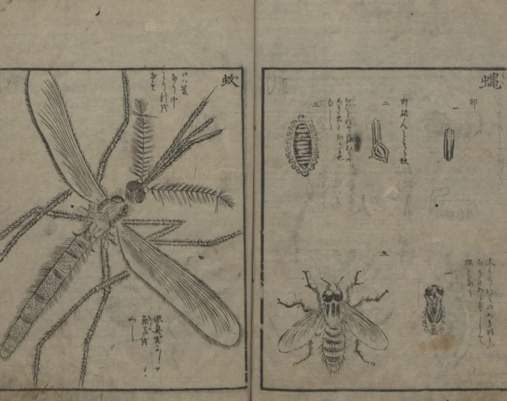 An illustration from Chats on Novelties of Foreign Lands (Kōmōzatsuwa 紅毛雑話), 1796, leaf 65