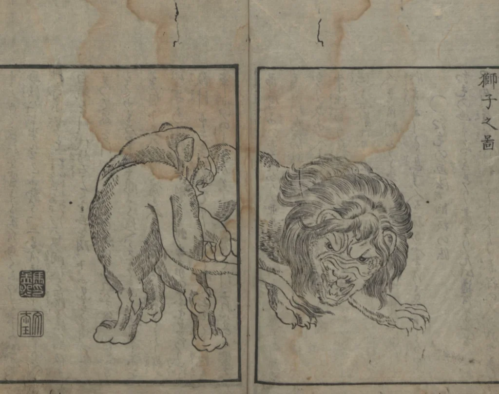 An illustration from Chats on Novelties of Foreign Lands (Kōmōzatsuwa 紅毛雑話), 1796, leaf 73