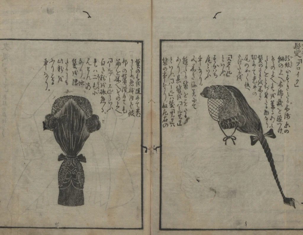 An illustration from Chats on Novelties of Foreign Lands (Kōmōzatsuwa 紅毛雑話), 1796, leaf 95