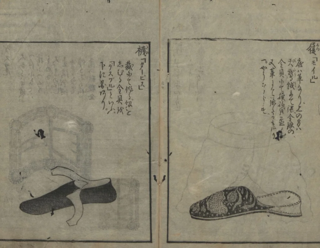 An illustration from Chats on Novelties of Foreign Lands (Kōmōzatsuwa 紅毛雑話), 1796, leaf 99