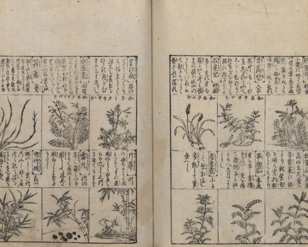 An illustration from Illustrated Encyclopedia of China (Morokoshi kinmō zui 唐土訓蒙図彙) : [volume 2], 1718, leaf 100