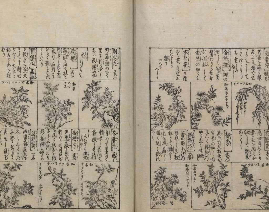 An illustration from Illustrated Encyclopedia of China (Morokoshi kinmō zui 唐土訓蒙図彙) : [volume 2], 1718, leaf 101