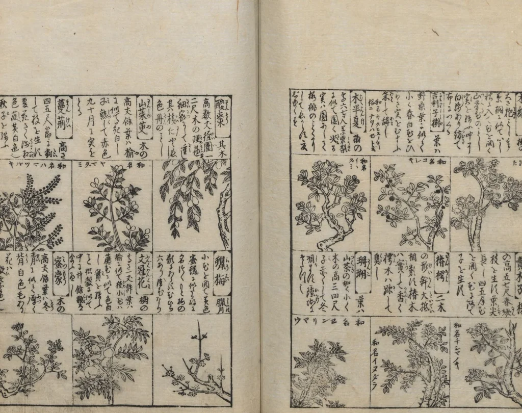 An illustration from Illustrated Encyclopedia of China (Morokoshi kinmō zui 唐土訓蒙図彙) : [volume 2], 1718, leaf 102