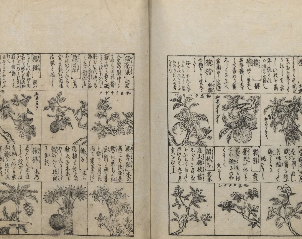 An illustration from Illustrated Encyclopedia of China (Morokoshi kinmō zui 唐土訓蒙図彙) : [volume 2], 1718, leaf 103