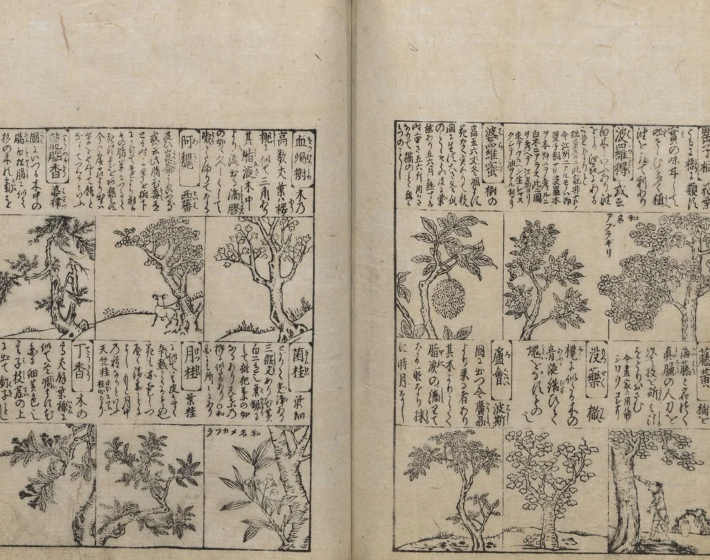 An illustration from Illustrated Encyclopedia of China (Morokoshi kinmō zui 唐土訓蒙図彙) : [volume 2], 1718, leaf 104