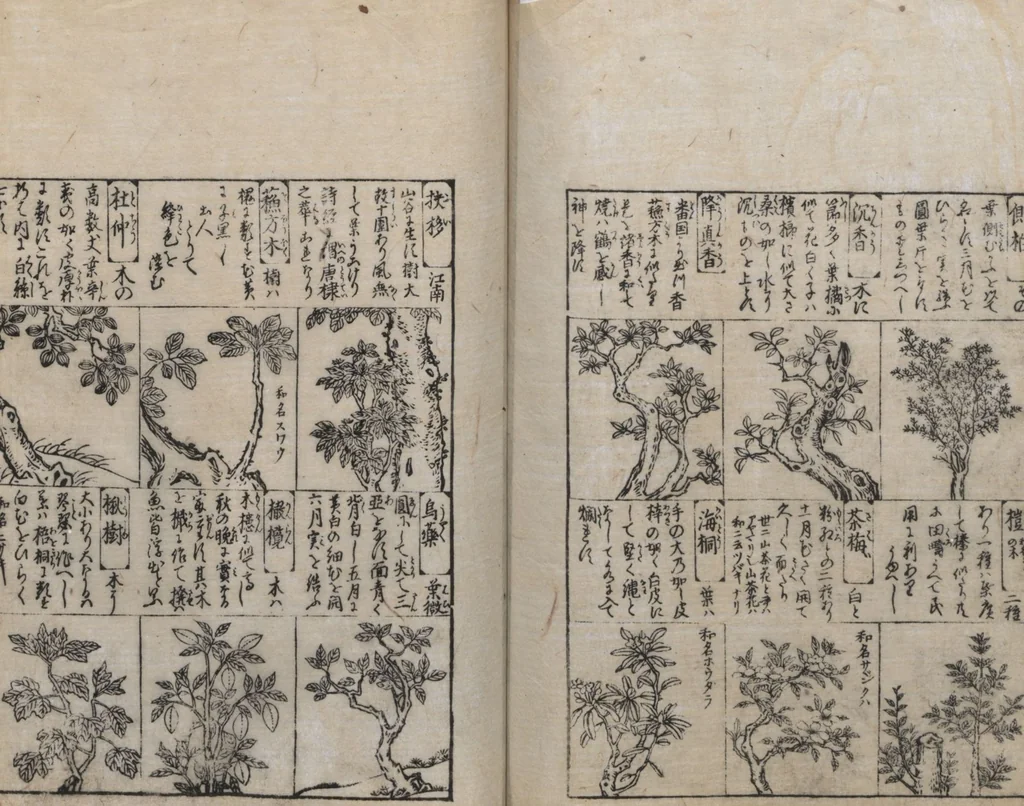 An illustration from Illustrated Encyclopedia of China (Morokoshi kinmō zui 唐土訓蒙図彙) : [volume 2], 1718, leaf 105