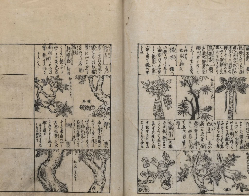 An illustration from Illustrated Encyclopedia of China (Morokoshi kinmō zui 唐土訓蒙図彙) : [volume 2], 1718, leaf 106