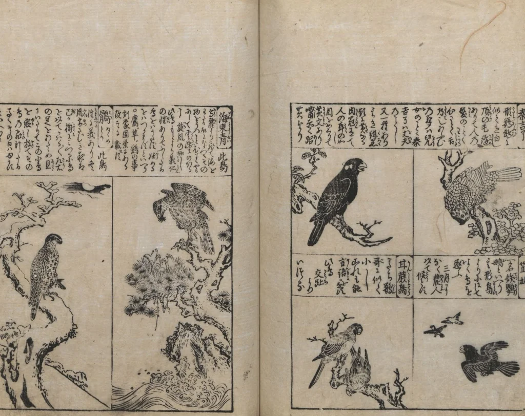 An illustration from Illustrated Encyclopedia of China (Morokoshi kinmō zui 唐土訓蒙図彙) : [volume 2], 1718, leaf 108