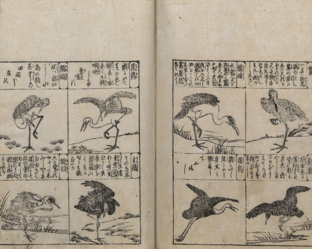 An illustration from Illustrated Encyclopedia of China (Morokoshi kinmō zui 唐土訓蒙図彙) : [volume 2], 1718, leaf 109