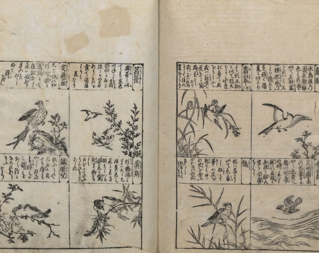 An illustration from Illustrated Encyclopedia of China (Morokoshi kinmō zui 唐土訓蒙図彙) : [volume 2], 1718, leaf 111