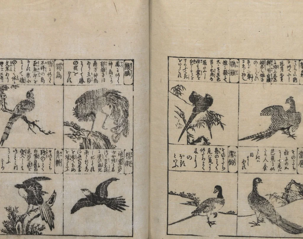 An illustration from Illustrated Encyclopedia of China (Morokoshi kinmō zui 唐土訓蒙図彙) : [volume 2], 1718, leaf 113