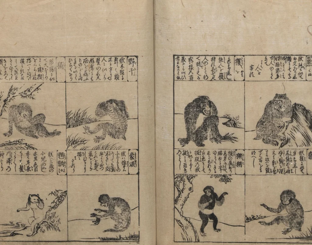 An illustration from Illustrated Encyclopedia of China (Morokoshi kinmō zui 唐土訓蒙図彙) : [volume 2], 1718, leaf 118