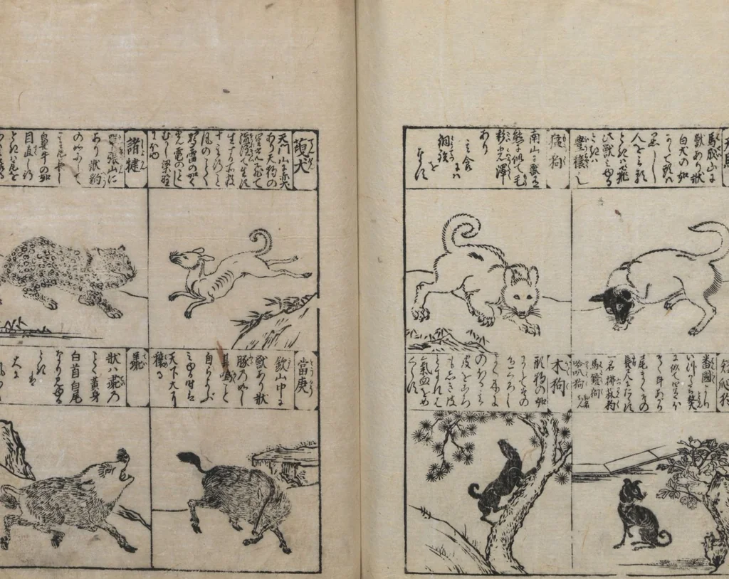 An illustration from Illustrated Encyclopedia of China (Morokoshi kinmō zui 唐土訓蒙図彙) : [volume 2], 1718, leaf 121