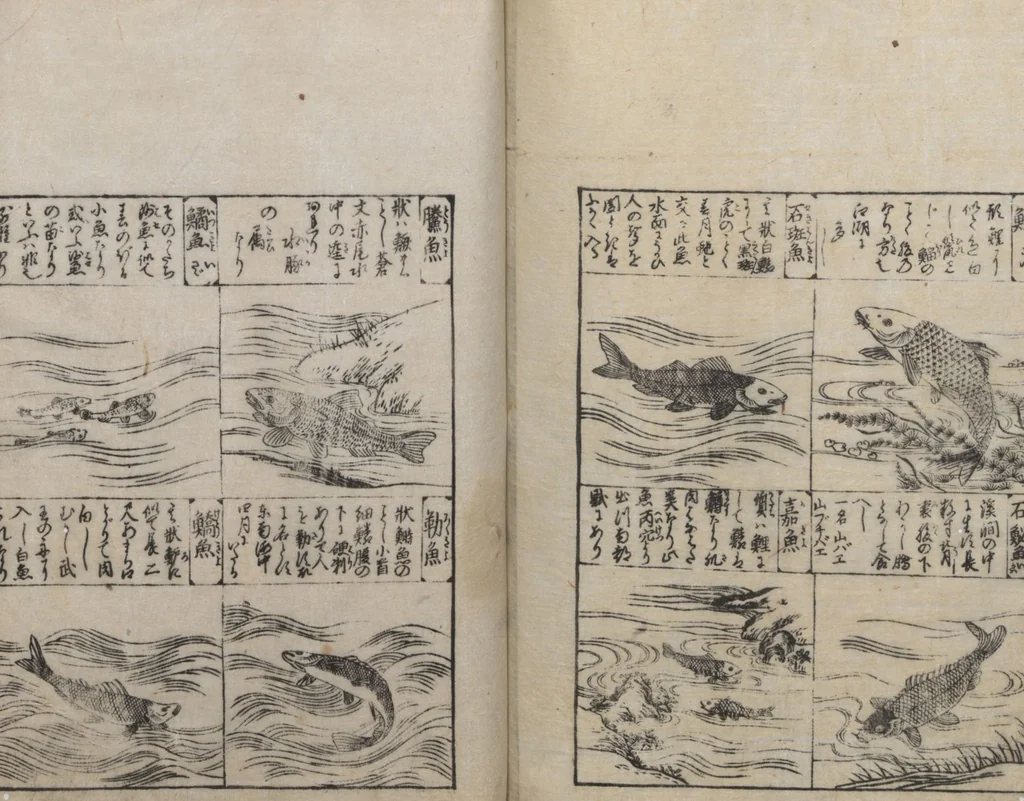 An illustration from Illustrated Encyclopedia of China (Morokoshi kinmō zui 唐土訓蒙図彙) : [volume 2], 1718, leaf 126