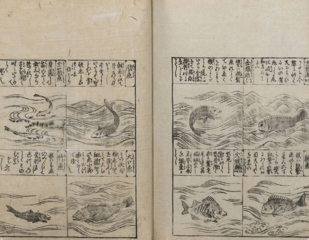 An illustration from Illustrated Encyclopedia of China (Morokoshi kinmō zui 唐土訓蒙図彙) : [volume 2], 1718, leaf 127
