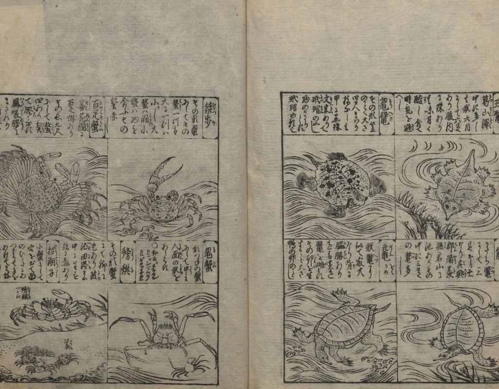 An illustration from Illustrated Encyclopedia of China (Morokoshi kinmō zui 唐土訓蒙図彙) : [volume 2], 1718, leaf 131