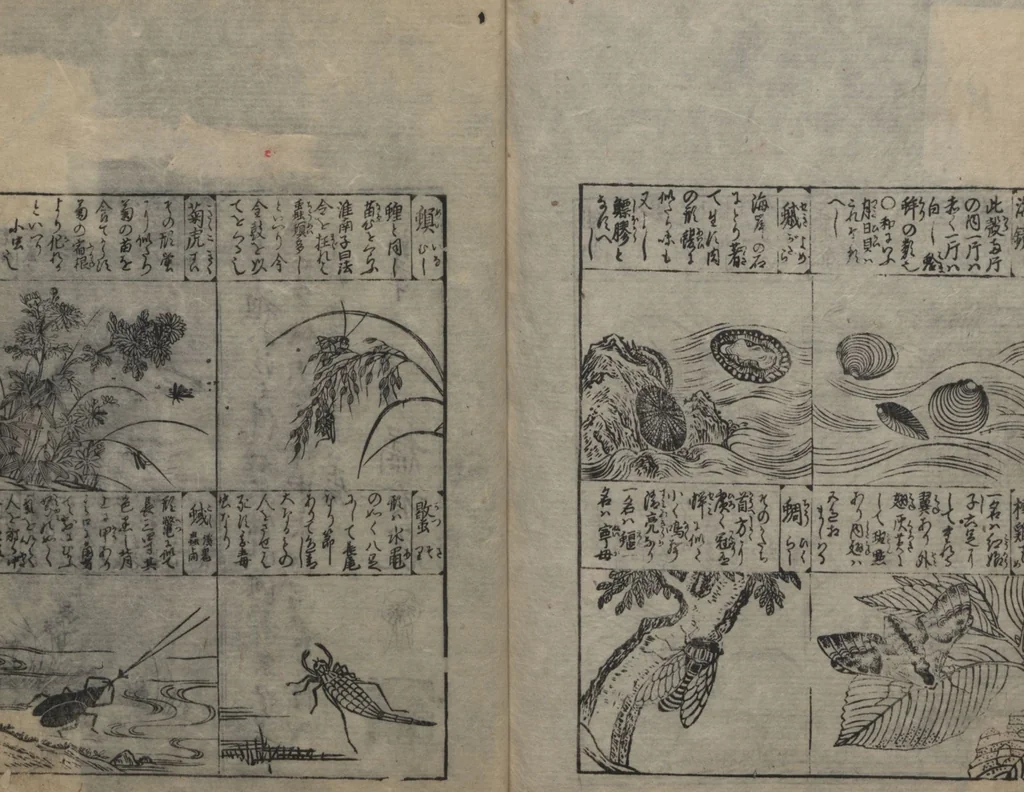 An illustration from Illustrated Encyclopedia of China (Morokoshi kinmō zui 唐土訓蒙図彙) : [volume 2], 1718, leaf 132