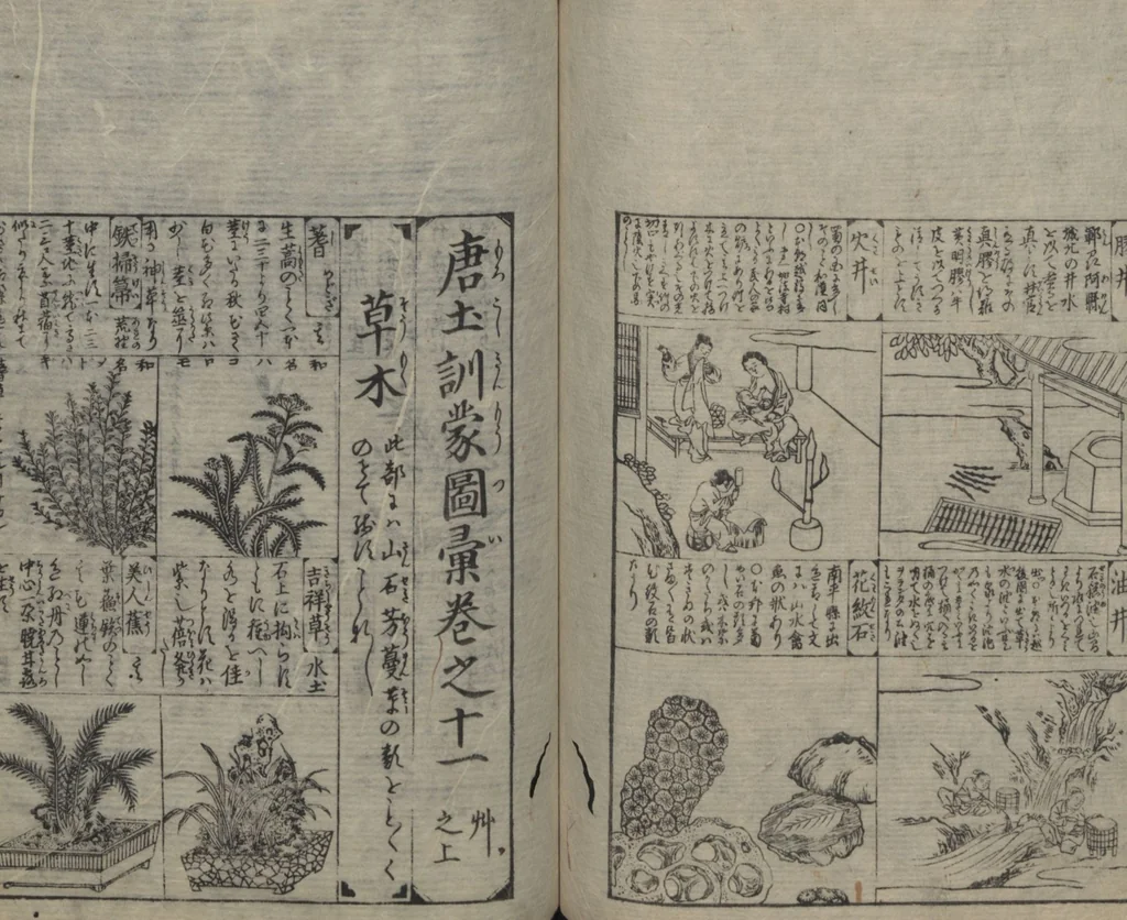 An illustration from Illustrated Encyclopedia of China (Morokoshi kinmō zui 唐土訓蒙図彙) : [volume 2], 1718, leaf 79