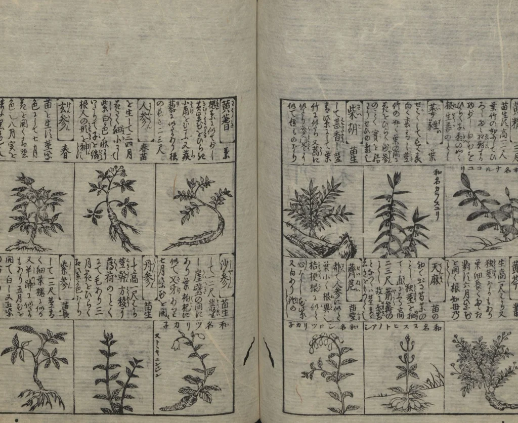 An illustration from Illustrated Encyclopedia of China (Morokoshi kinmō zui 唐土訓蒙図彙) : [volume 2], 1718, leaf 80