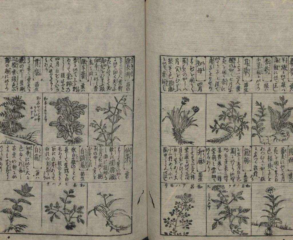 An illustration from Illustrated Encyclopedia of China (Morokoshi kinmō zui 唐土訓蒙図彙) : [volume 2], 1718, leaf 81