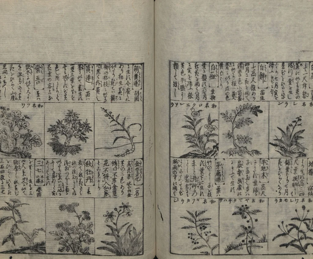 An illustration from Illustrated Encyclopedia of China (Morokoshi kinmō zui 唐土訓蒙図彙) : [volume 2], 1718, leaf 82