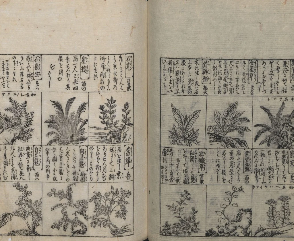 An illustration from Illustrated Encyclopedia of China (Morokoshi kinmō zui 唐土訓蒙図彙) : [volume 2], 1718, leaf 83