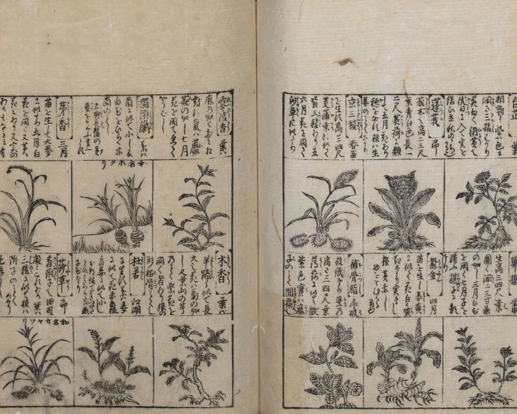 An illustration from Illustrated Encyclopedia of China (Morokoshi kinmō zui 唐土訓蒙図彙) : [volume 2], 1718, leaf 84
