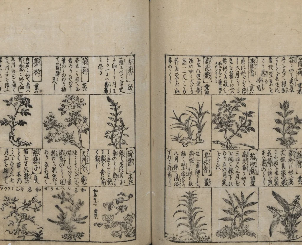 An illustration from Illustrated Encyclopedia of China (Morokoshi kinmō zui 唐土訓蒙図彙) : [volume 2], 1718, leaf 85