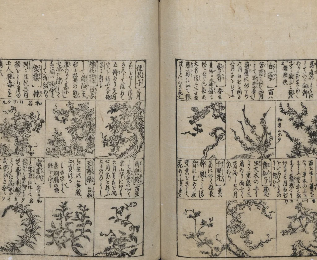 An illustration from Illustrated Encyclopedia of China (Morokoshi kinmō zui 唐土訓蒙図彙) : [volume 2], 1718, leaf 86