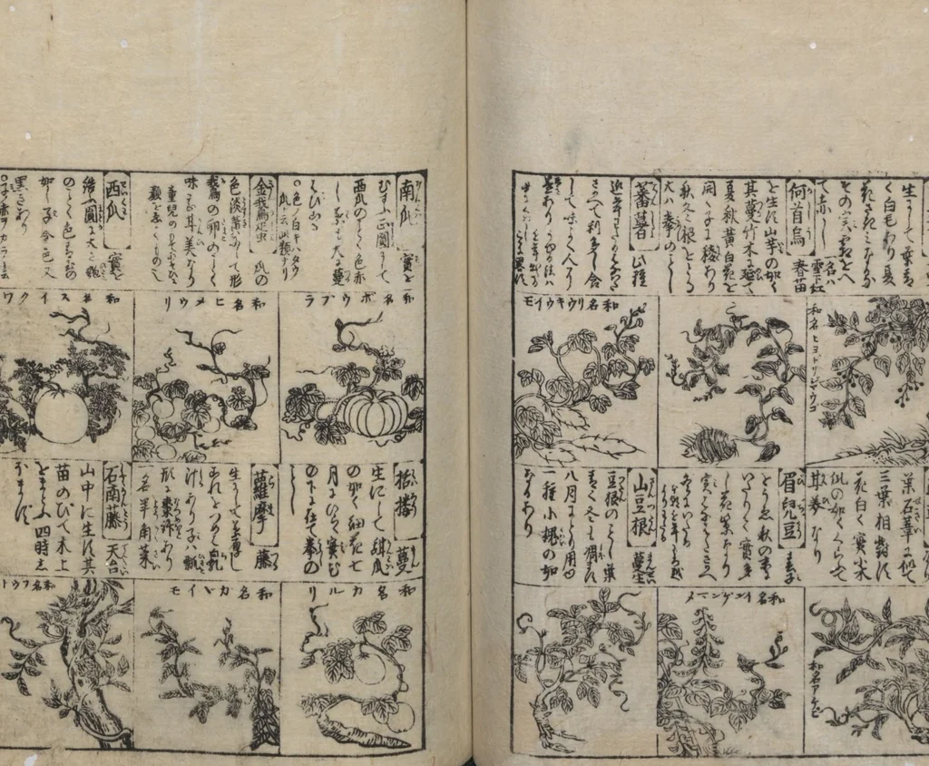 An illustration from Illustrated Encyclopedia of China (Morokoshi kinmō zui 唐土訓蒙図彙) : [volume 2], 1718, leaf 87