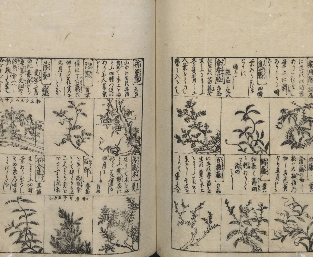 An illustration from Illustrated Encyclopedia of China (Morokoshi kinmō zui 唐土訓蒙図彙) : [volume 2], 1718, leaf 88
