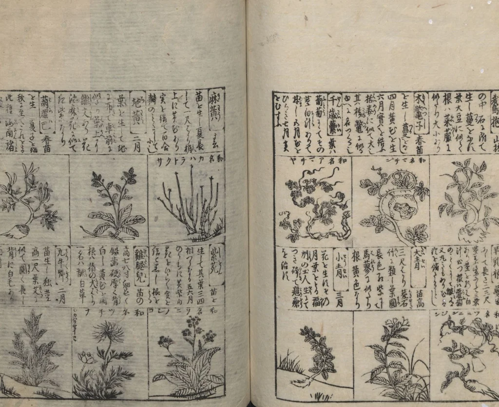 An illustration from Illustrated Encyclopedia of China (Morokoshi kinmō zui 唐土訓蒙図彙) : [volume 2], 1718, leaf 89