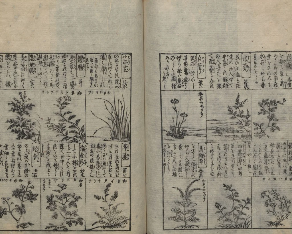 An illustration from Illustrated Encyclopedia of China (Morokoshi kinmō zui 唐土訓蒙図彙) : [volume 2], 1718, leaf 91