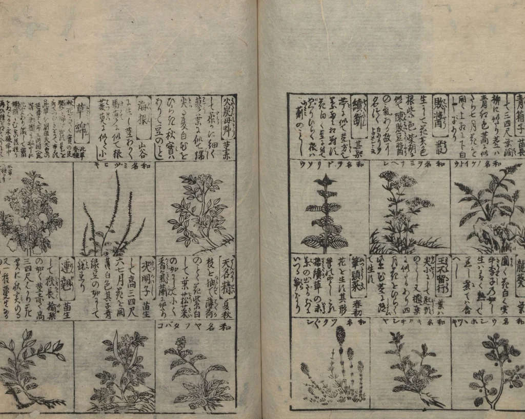 An illustration from Illustrated Encyclopedia of China (Morokoshi kinmō zui 唐土訓蒙図彙) : [volume 2], 1718, leaf 92