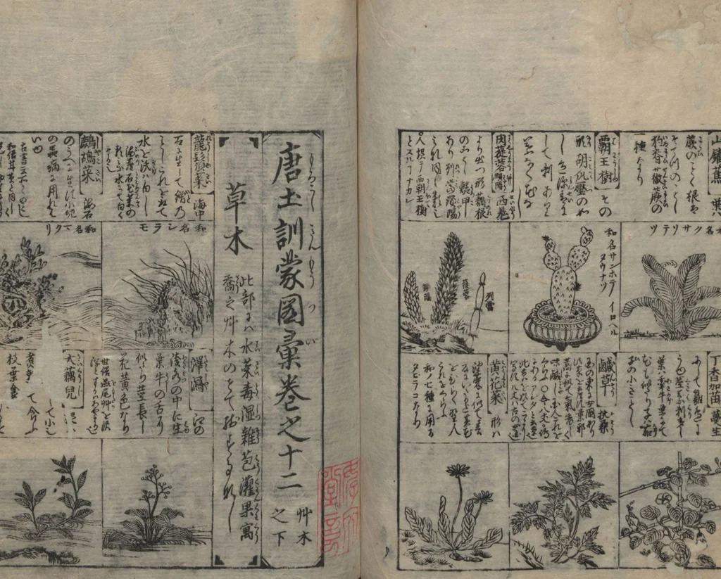 An illustration from Illustrated Encyclopedia of China (Morokoshi kinmō zui 唐土訓蒙図彙) : [volume 2], 1718, leaf 93