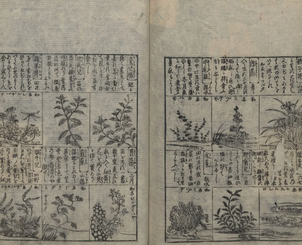 An illustration from Illustrated Encyclopedia of China (Morokoshi kinmō zui 唐土訓蒙図彙) : [volume 2], 1718, leaf 94