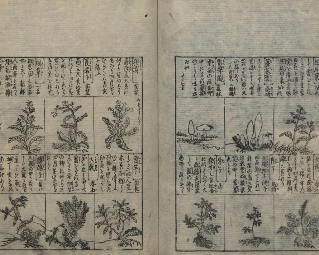 An illustration from Illustrated Encyclopedia of China (Morokoshi kinmō zui 唐土訓蒙図彙) : [volume 2], 1718, leaf 95