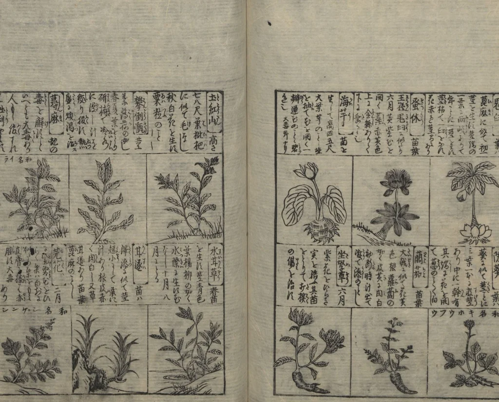 An illustration from Illustrated Encyclopedia of China (Morokoshi kinmō zui 唐土訓蒙図彙) : [volume 2], 1718, leaf 96