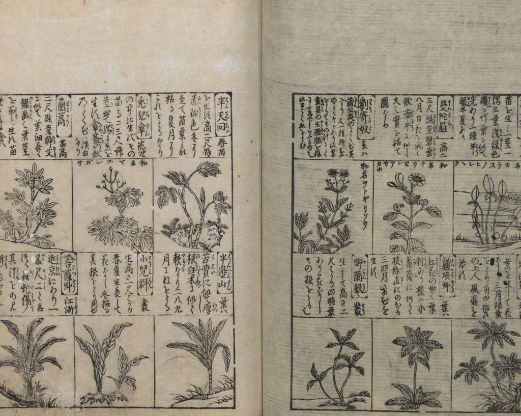 An illustration from Illustrated Encyclopedia of China (Morokoshi kinmō zui 唐土訓蒙図彙) : [volume 2], 1718, leaf 97