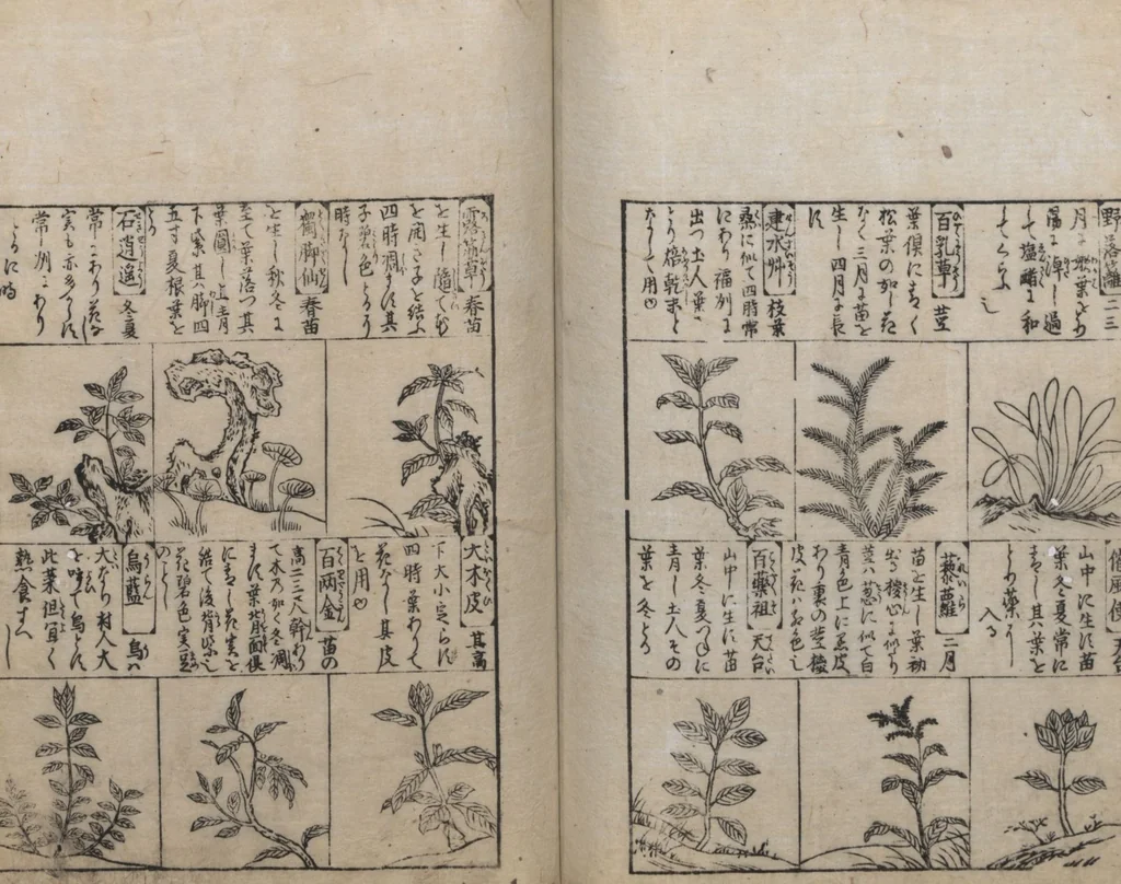 An illustration from Illustrated Encyclopedia of China (Morokoshi kinmō zui 唐土訓蒙図彙) : [volume 2], 1718, leaf 98