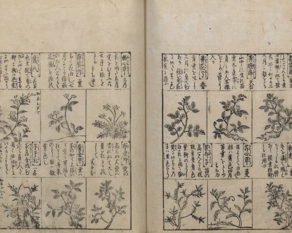 An illustration from Illustrated Encyclopedia of China (Morokoshi kinmō zui 唐土訓蒙図彙) : [volume 2], 1718, leaf 99