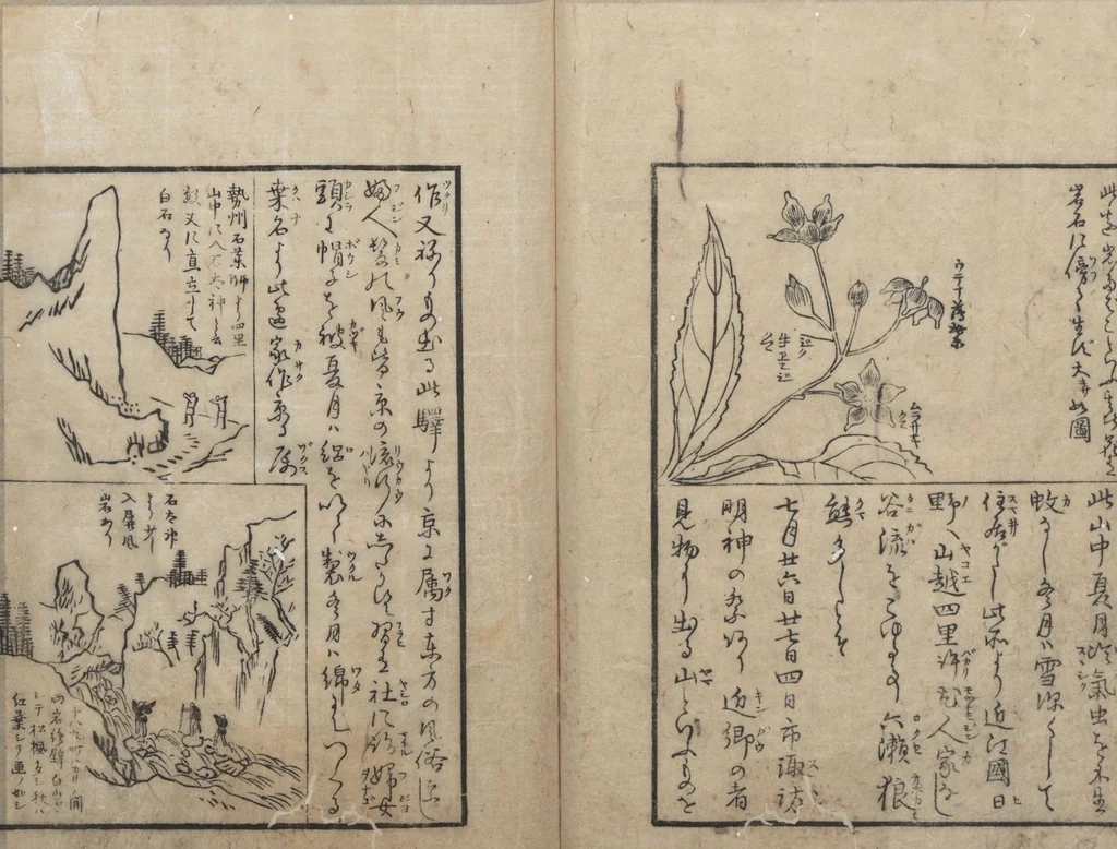 An illustration from A Diary of Travel from Edo to Nagasaki (Saiyū ryodan, 西遊旅譚) : [volume 1], 1803, leaf 24