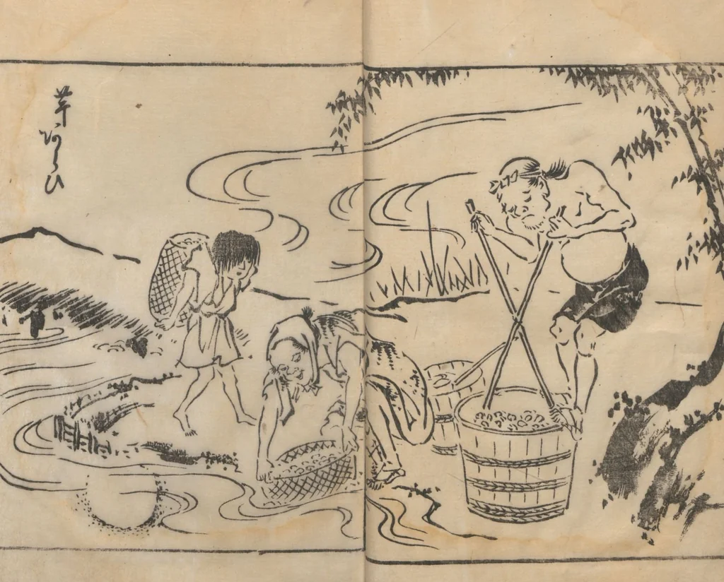 An illustration from Itchō Picture Album (Itchō gafu 一蝶画譜) : [volume 2], 1770, leaf 13