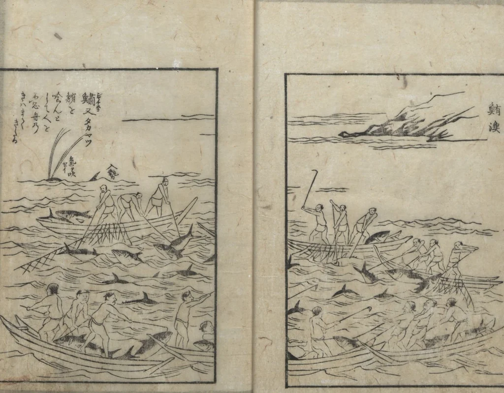 An illustration from A Diary of Travel from Edo to Nagasaki (Saiyū ryodan, 西遊旅譚) : [volume 4], 1803, leaf 13
