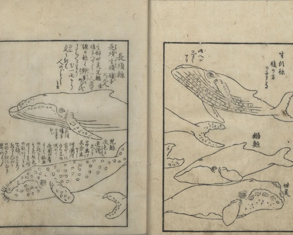An illustration from A Diary of Travel from Edo to Nagasaki (Saiyū ryodan, 西遊旅譚) : [volume 4], 1803, leaf 22