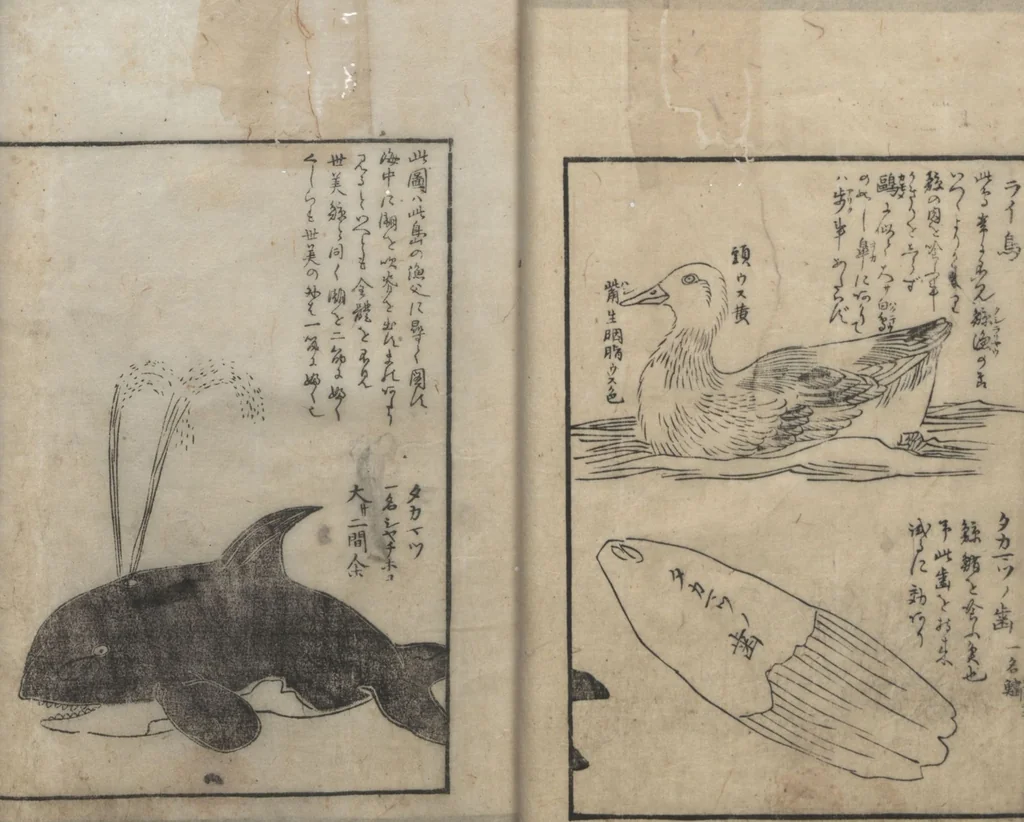 An illustration from A Diary of Travel from Edo to Nagasaki (Saiyū ryodan, 西遊旅譚) : [volume 4], 1803, leaf 28