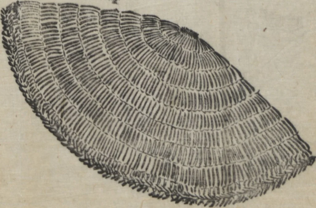 An illustration from Santoan's Chats: Short Records Written upon His Waking (Suiyo shōroku: Santōan issekiwa) : [volume 1], 1844, leaf 43