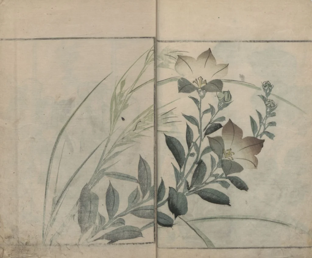An illustration from Sonan's Picture Book (Sonan gafu 楚南画譜), 1834, leaf 14