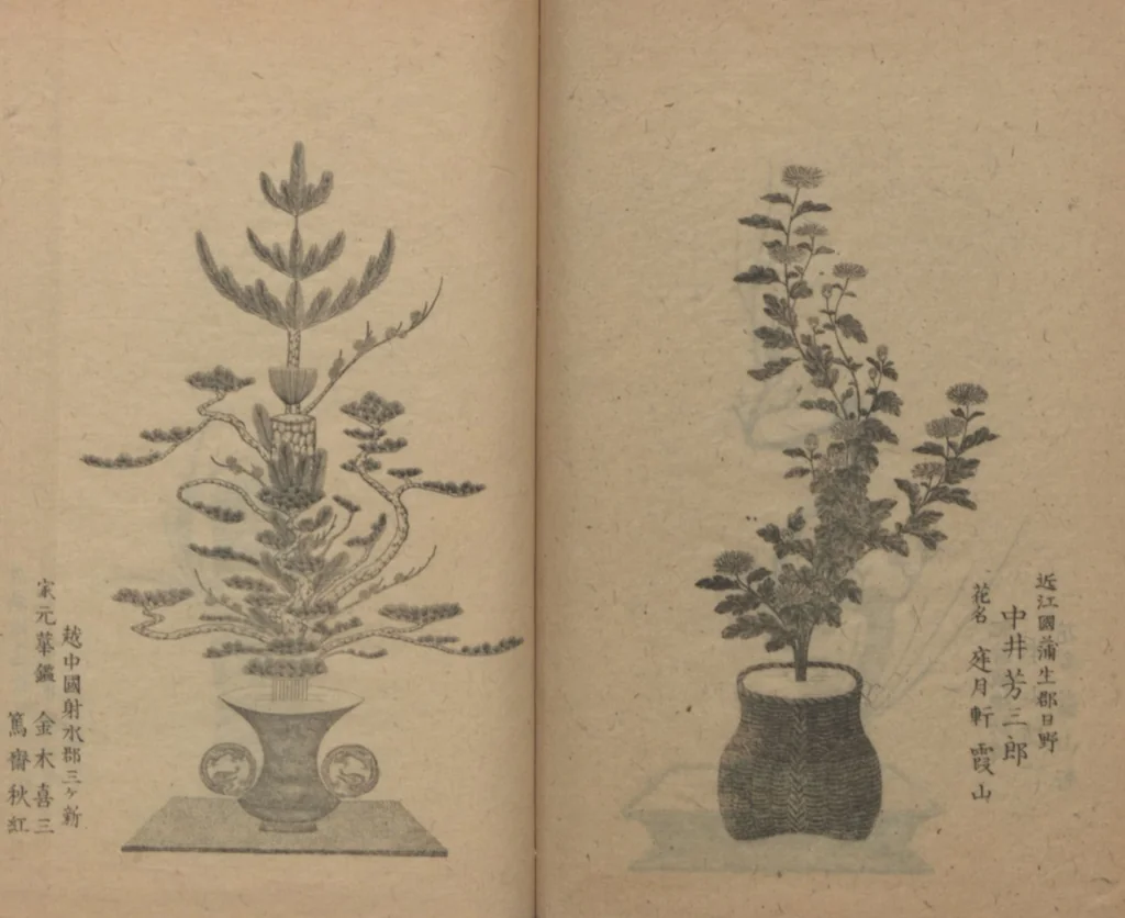 An illustration from Examples of the Flower Arrangement (Meiji shinsen risshō senkashiki 明治新撰千花式), 1889, leaf 48